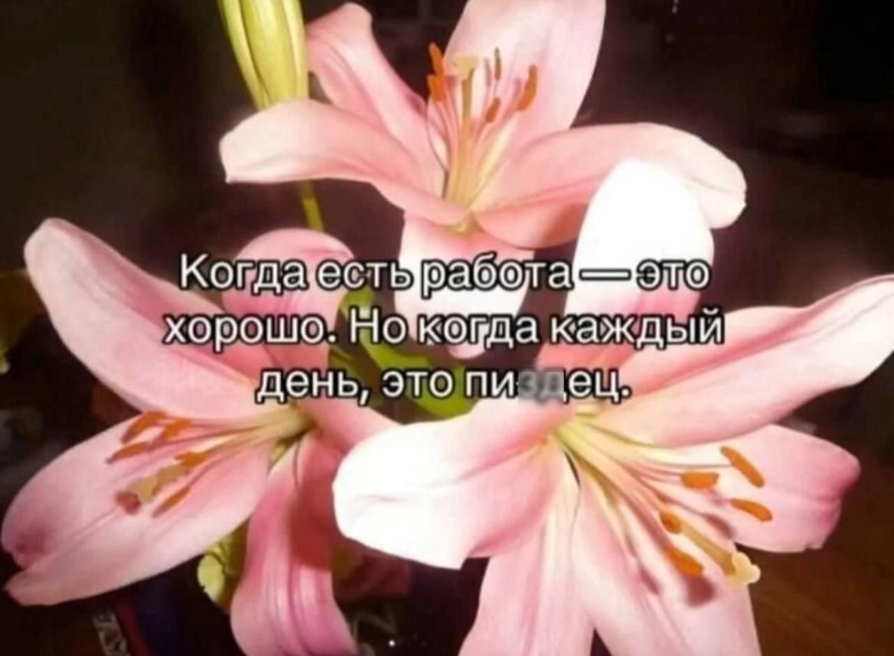 Когда есть работа — это хорошо. Но когда каждый день, это пиздец.