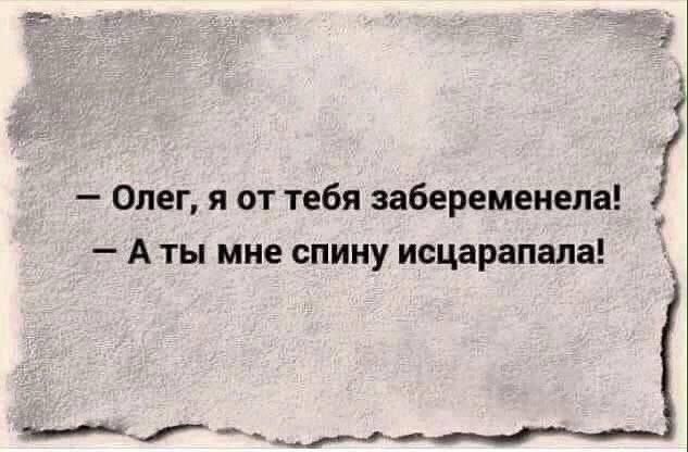 — Олег, я от тебя забеременела! — А ты мне спину исцарапала!