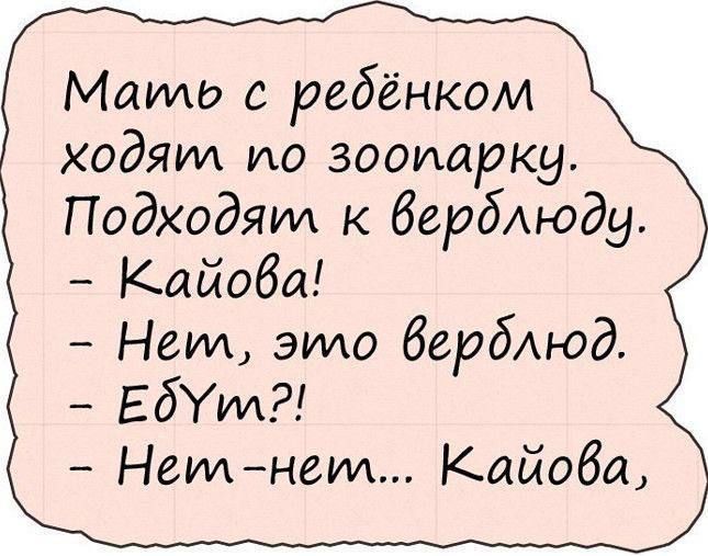 Мать с ребёнком ходят по зоопарку. Подходят к верблюду. - Кайова! - Нет, это верблюд. - Едут?! - Нет-нет... Кайова.