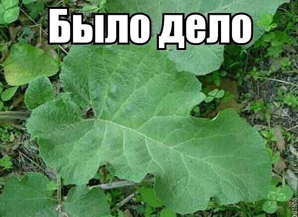 Было дело