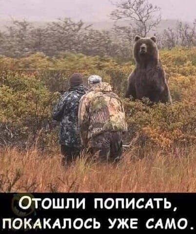 Отошли пописать, покакалось уже само.