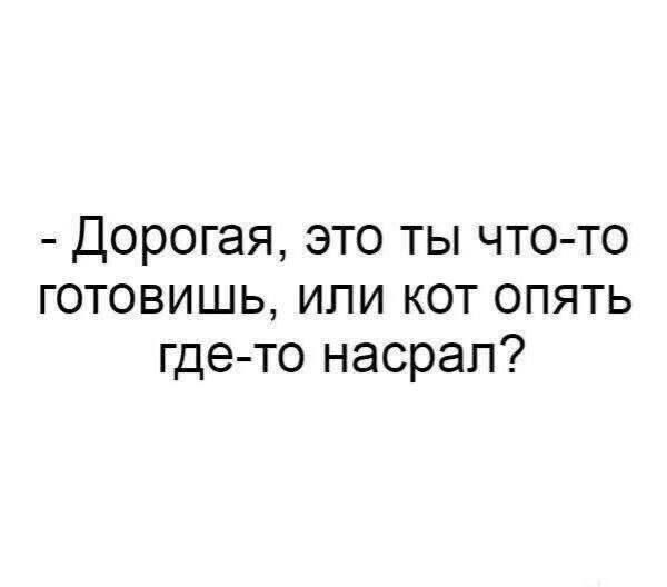 - Дорогая, это ты что-то готовишь, или кот опять где-то насрал?