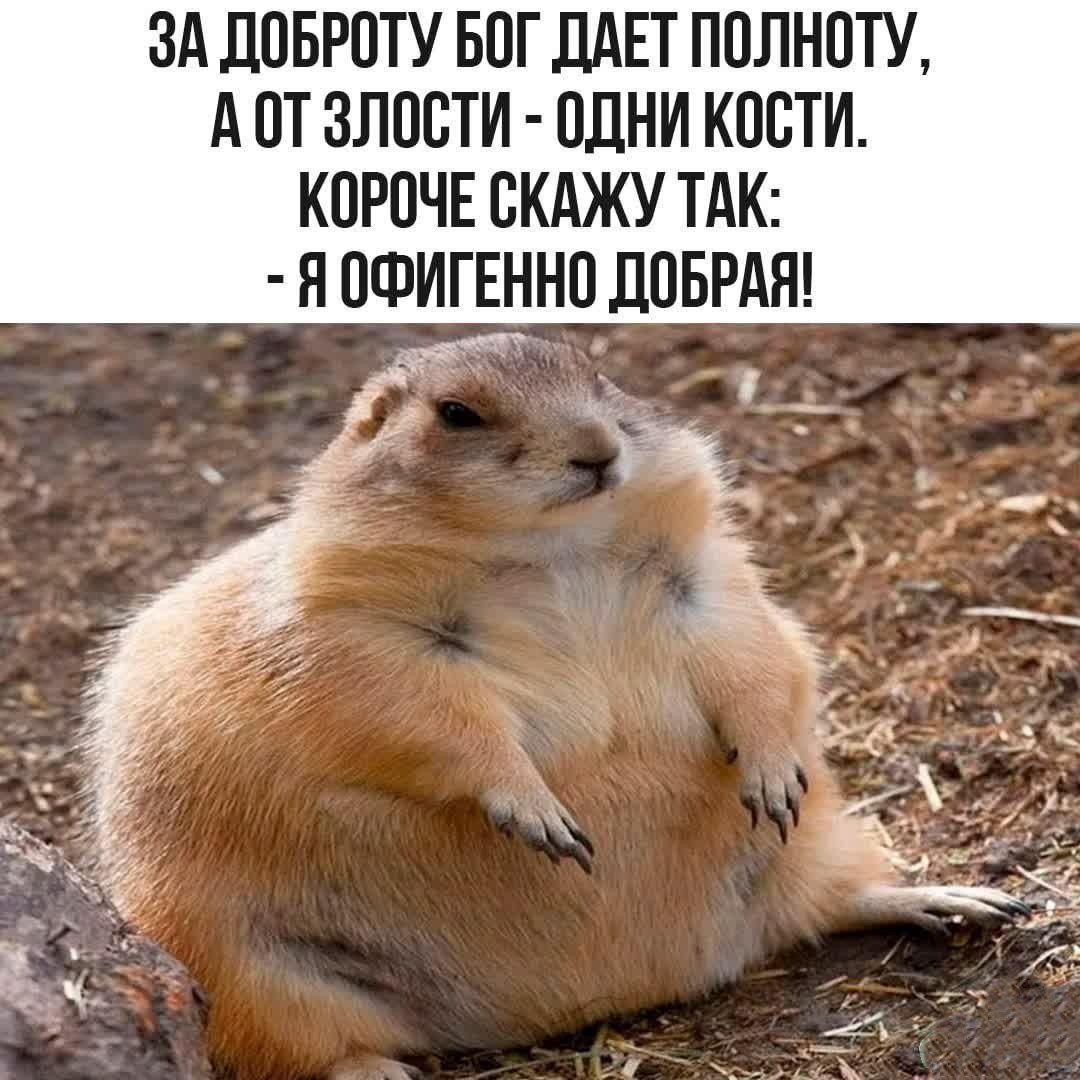 ЗА ДОБРОТУ БОГ ДАЕТ ПОЛНОТУ, А ОТ ЗЛОСТИ - ОДНИ КОСТИ. КОРОЧЕ СКАЖУ ТАК: - Я ОФИГЕННО ДОБРАЯ!