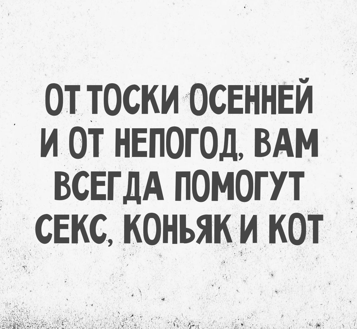 ОТ ТОСКИ ОСЕННЕЙ И ОТ НЕПОГОД, ВАМ ВСЕГДА ПОМОГУТ СЕКС, КОНЬЯК И КОТ