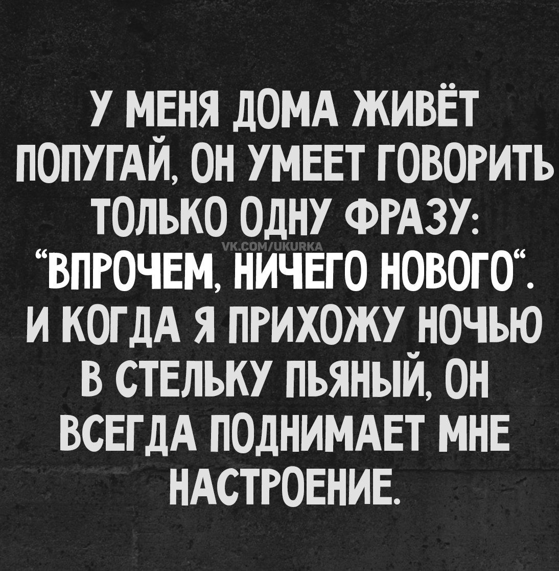У меня дома живёт попугай, он умеет говорить только одну фразу: 