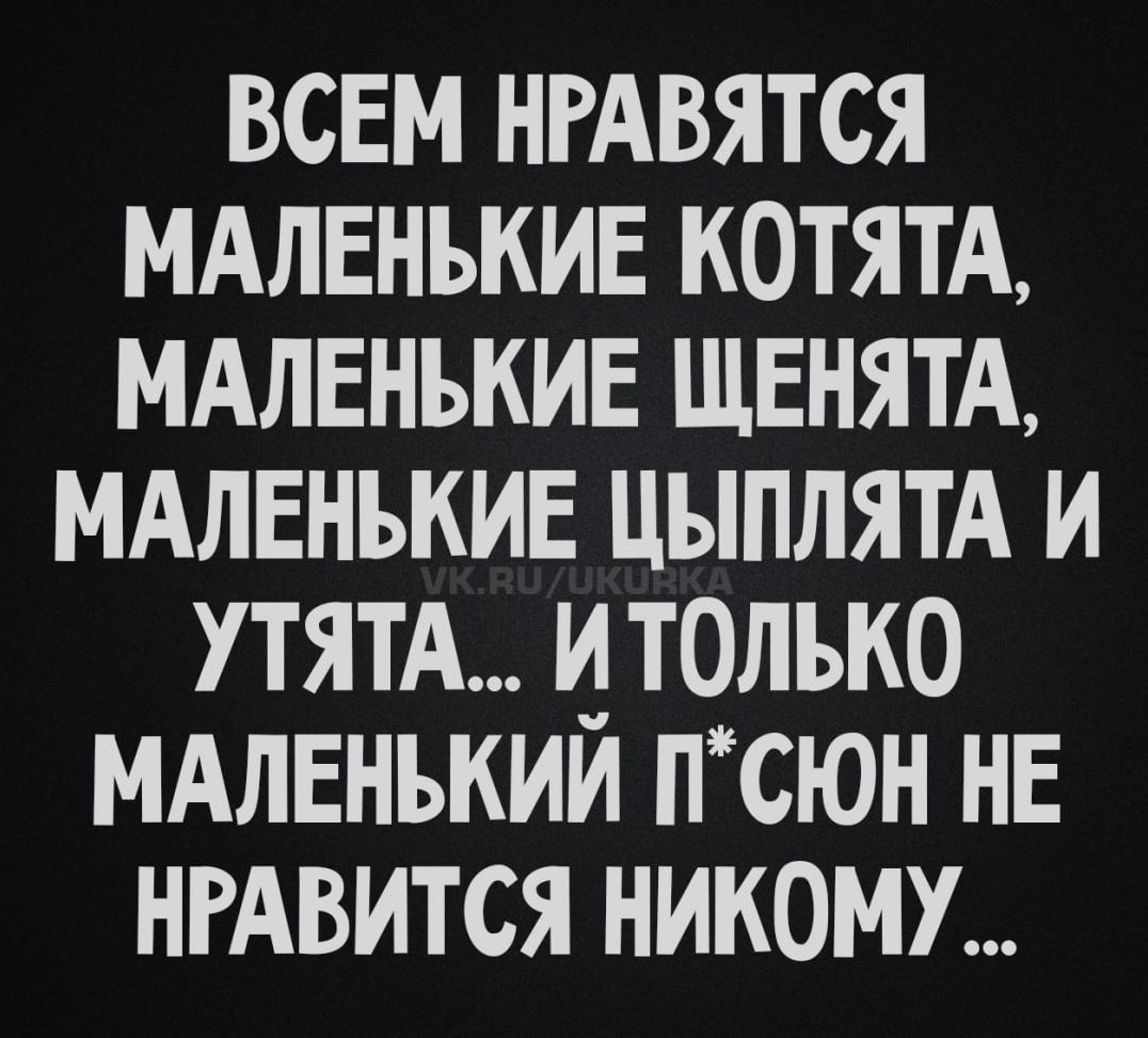 ВСЕМ НРАВЯТЬСЯ МАЛЕНЬКИЕ КОТЯТА, МАЛЕНЬКИЕ ЩЕНЯТА, МАЛЕНЬКИЕ ЦЫПЛЯТА И УТЯТА... И ТОЛЬКО МАЛЕНЬКИЙ П*СЕН НЕ НРАВИТСЯ НИКОМУ...