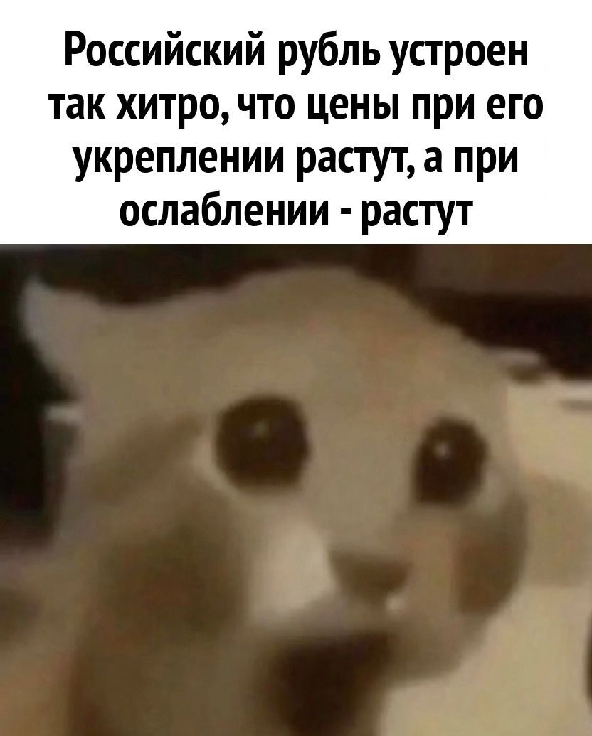 Российский рубль устроен так хитро, что цены при его укреплении растут, а при ослаблении - растут.