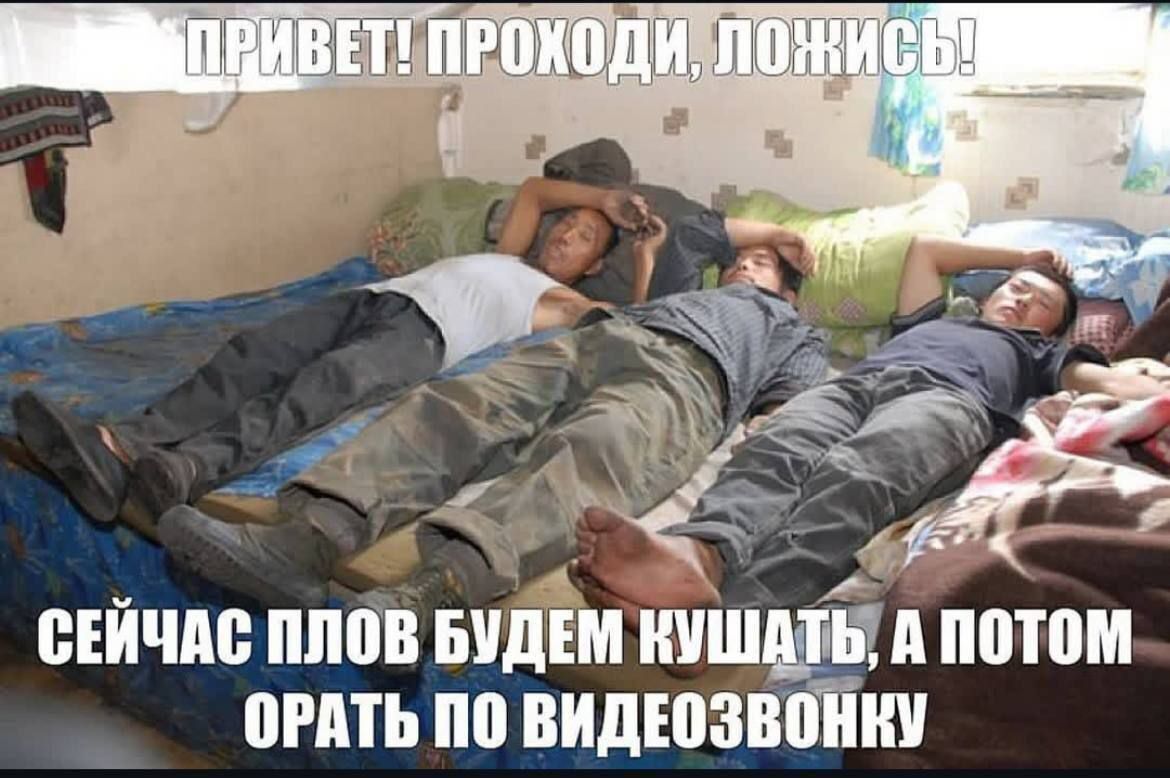 ПРИВЕТ! ПРОХОДИ, ЛОЖИСЬ! СЕЙЧАС ПЛОВ БУДЕМ КУШАТЬ, А ПОТОМ ОРАТЬ ПО ВИДЕОЗВОНОКУ