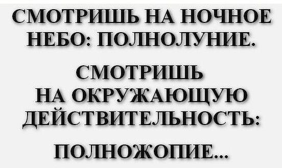 СМОТРИШЬ НА НОЧНОЕ НЕБО: ПОЛНОЛУНИЕ.
СМОТРИШЬ НА ОКРУЖАЮЩУЮ ДЕЙСТВИТЕЛЬНОСТЬ: ПОЛНОЖОПИЕ...