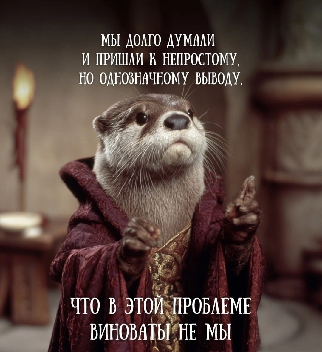 МЫ ДОЛГО ДУМАЛИ И ПРИШЛИ К НЕПРОСТОТОМУ, НО ОДНОЗНАЧНОМУ ВЫВОДУ, ЧТО В ЭТОЙ ПРОБЛЕМЕ ВИНОВАТЫ НЕ МЫ