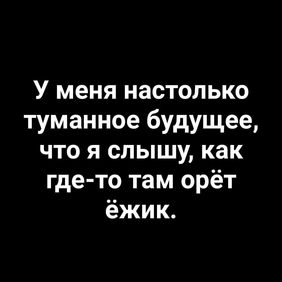 У меня настолько туманное будущее, что я слышу, как где-то там орёт ёжик.