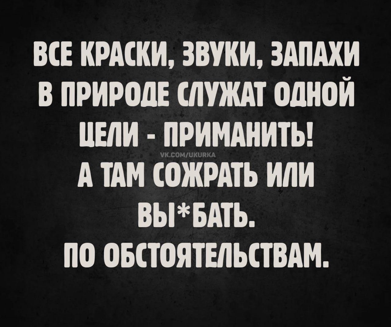 ВСЕ КРАСКИ, ЗВУКИ, ЗАПАХИ В ПРИРОДЕ СЛУЖАТ ОДНОЙ ЦЕЛИ - ПРИМАНИТЬ! А ТАМ СОЖРАТЬ ИЛИ ВЫ*БАТЬ. ПО ОБСТОЯТЕЛЬСТВАМ.