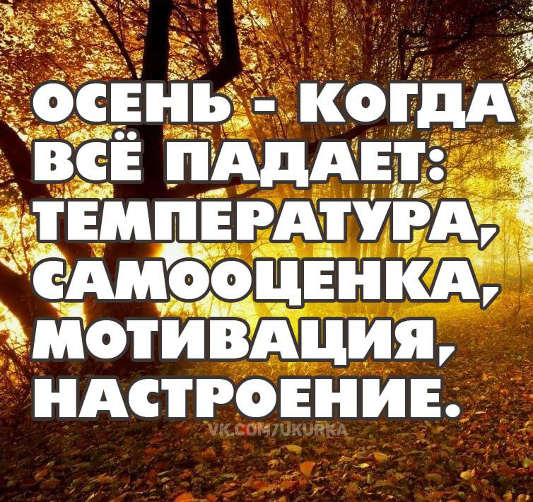 ОСЕНЬ - КОГДА ВСЁ ПАДАЕТ: ТЕМПЕРАТУРА, САМООЦЕНКА, МОТИВАЦИЯ, НАСТРОЕНИЕ.