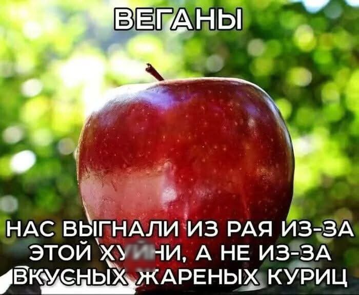 ВЕГАНЫ
НАС ВЫГНАЛИ ИЗ РАЯ ИЗ-ЗА ЭТОЙ ХУЙНИ, А НЕ ИЗ-ЗА ВКУСНЫХ ЖАРЕНЫХ КУРИЦ