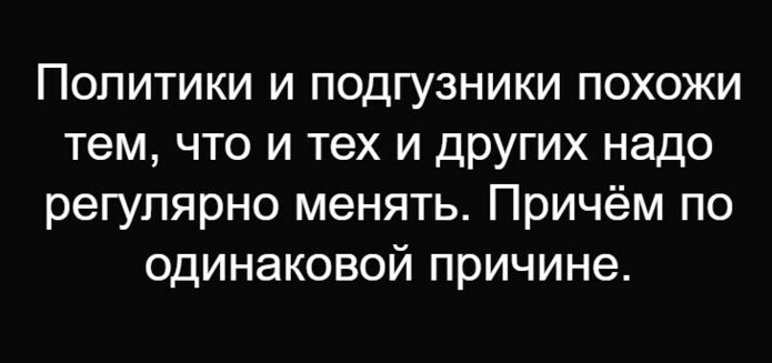 Политики и подгузники похожи тем, что и тех и других надо регулярно менять. Причём по одинаковой причине.