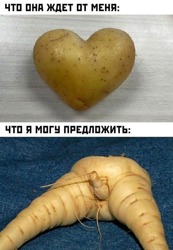ЧТО ОНА ЖДЕТ ОТ МЕНЯ: ЧТО Я МОГУ ПРЕДЛОЖИТЬ: