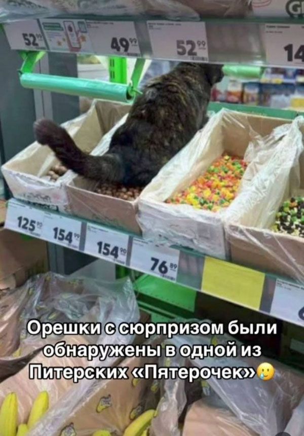 Орешки с сюрпризом были обнаружены в одной из Питерских «Пятерочек»
