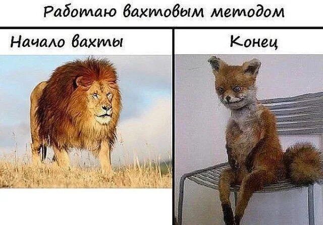 Работаю вахтовым методом
Начало вахты
Конец