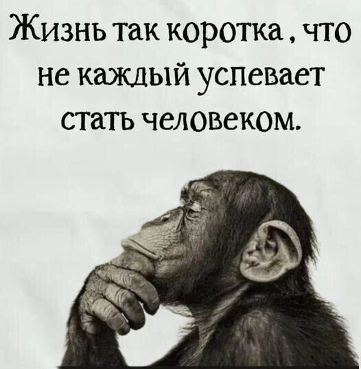 Жизнь так коротка, что не каждый успевает стать человеком.