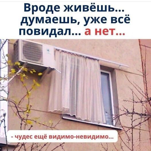 Вроде живёшь... думаешь, уже всё повидал... а нет... - чудес ещё видимо-невидимо...