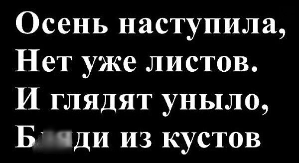 Осень наступила,
Нет уже листов.
И глядят уныло,
Блядди из кустов