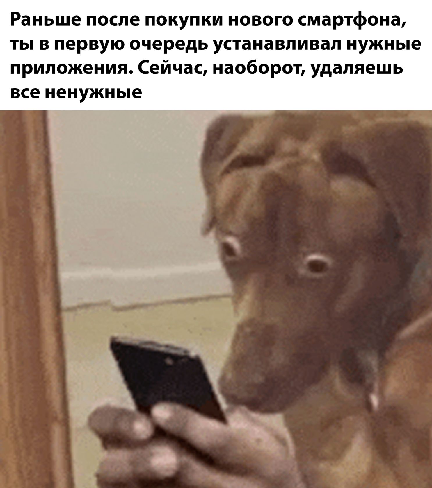 Раньше после покупки нового смартфона, ты в первую очередь устанавливал нужные приложения. Сейчас, наоборот, удаляешь все ненужные.