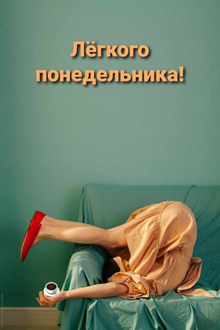 Лёгкого понедельника!