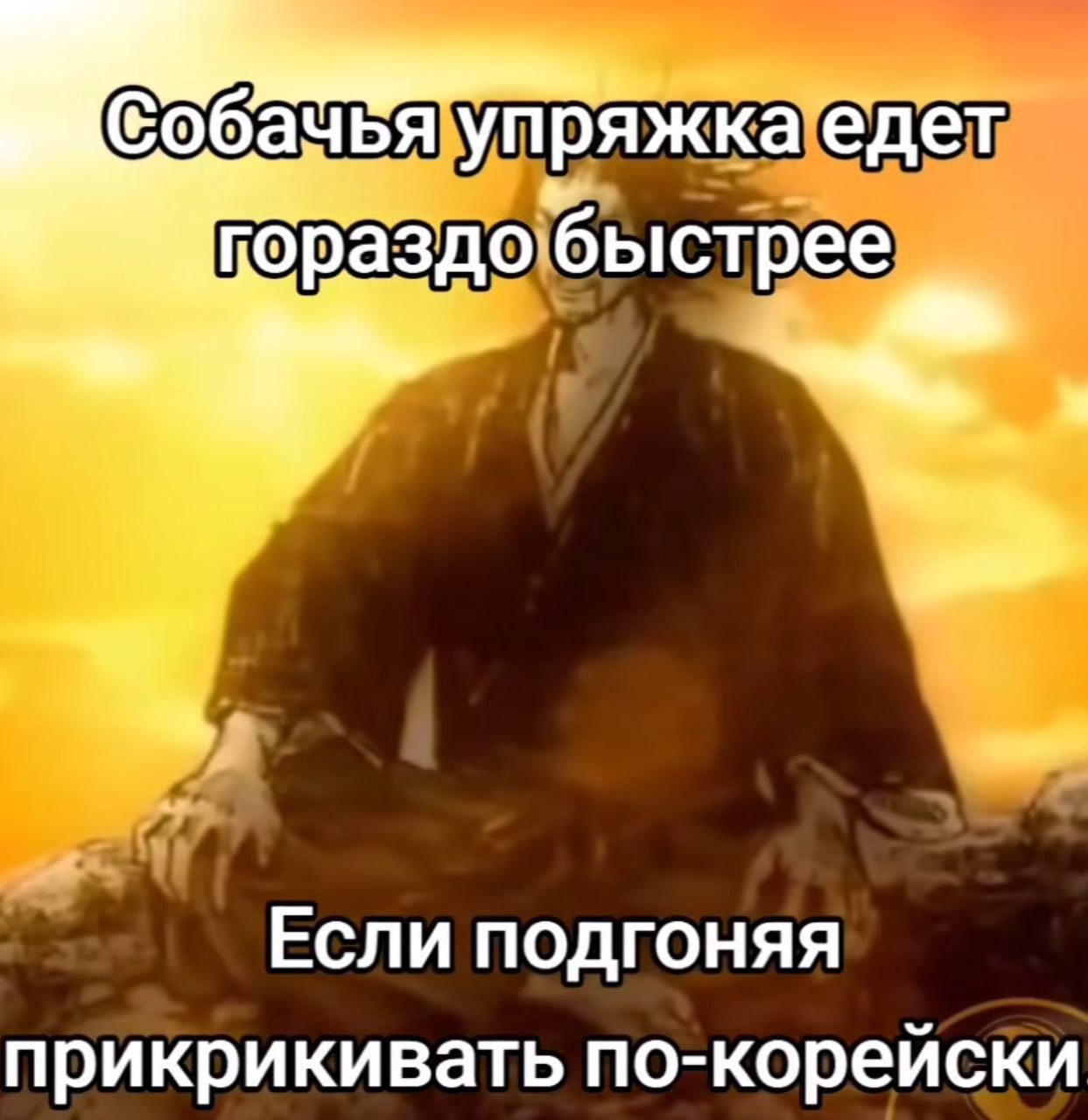 Собачья упряжка едет гораздо быстрее
Если подгоняя прикрикивать по-корейски