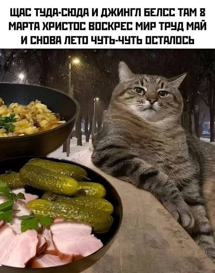 ЩАС ТУДА-СЮДА И ДЖИНГЛ БЕЛЕСС ТАМ 8 МАРТА ХРИСТОС ВОСКРЕС МИР ТРУД МАЙ И СНОВА ЛЕТО ЧУТЬ-ЧУТЬ ОСТАЛОСЬ