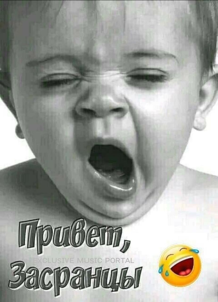Привет, Засранцы!