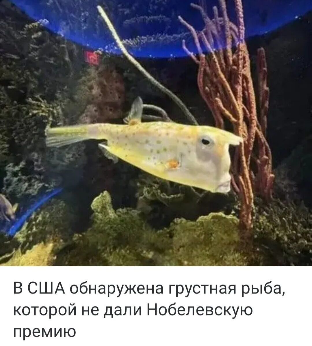 В США обнаружена грустная рыба, которой не дали Нобелевскую премию