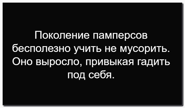 Поколение памперсов бесполезно учить не мусорить. Оно выросло, привыкая гадить под себя.
