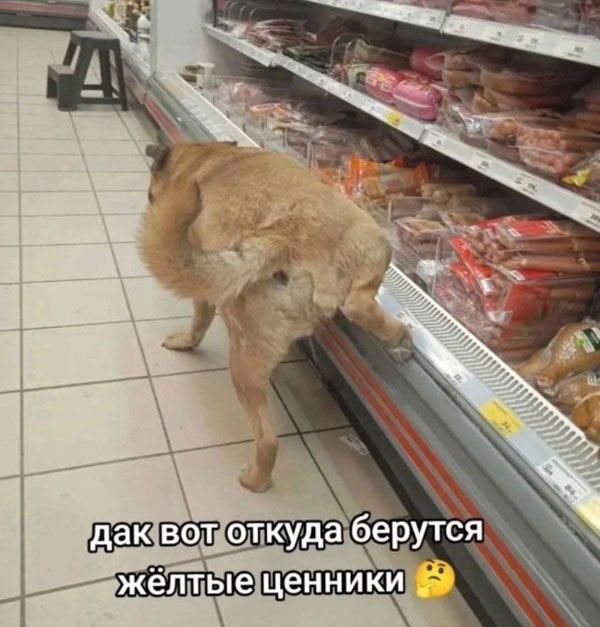 да вот откуда берутся жёлтые ценники 🤔
