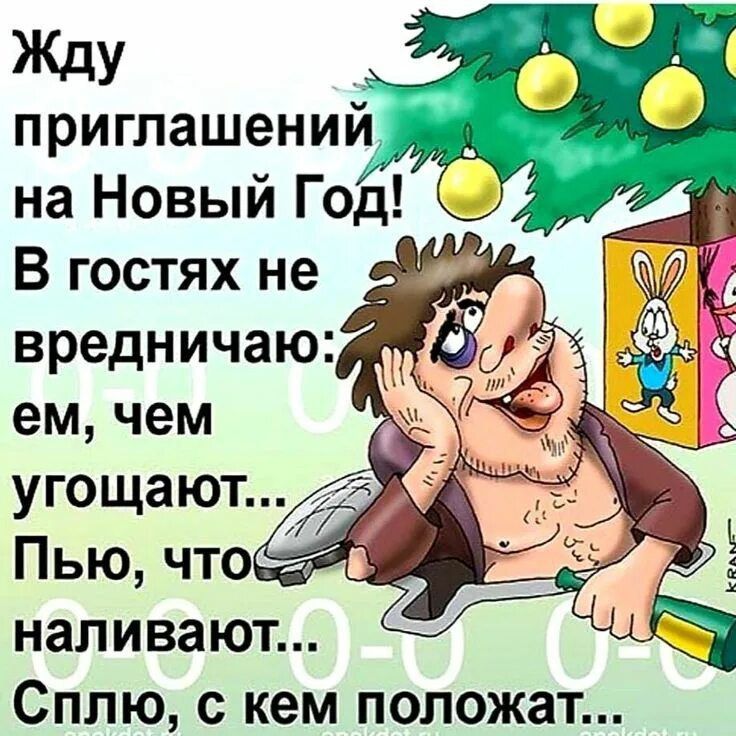 Жду приглашений на Новый Год! В гостях не вредничаю: ем, чем угощают... Пью, что наливают... Сплю, с кем положат...
