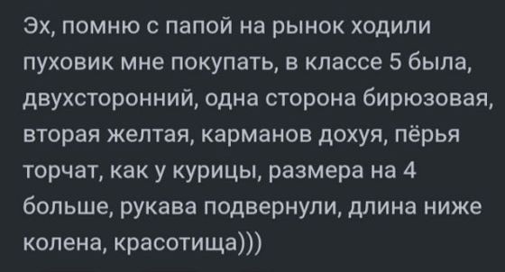 Эх, помню с папой на рынок ходили пуховик мне покупать, в классе 5 была, двухсторонний, одна сторона бирюзовая, вторая желтая, карманов дохуя, перья торчат, как у курицы, размера на 4 больше, рукава подвёрнули, длина ниже колена, красавица)))
