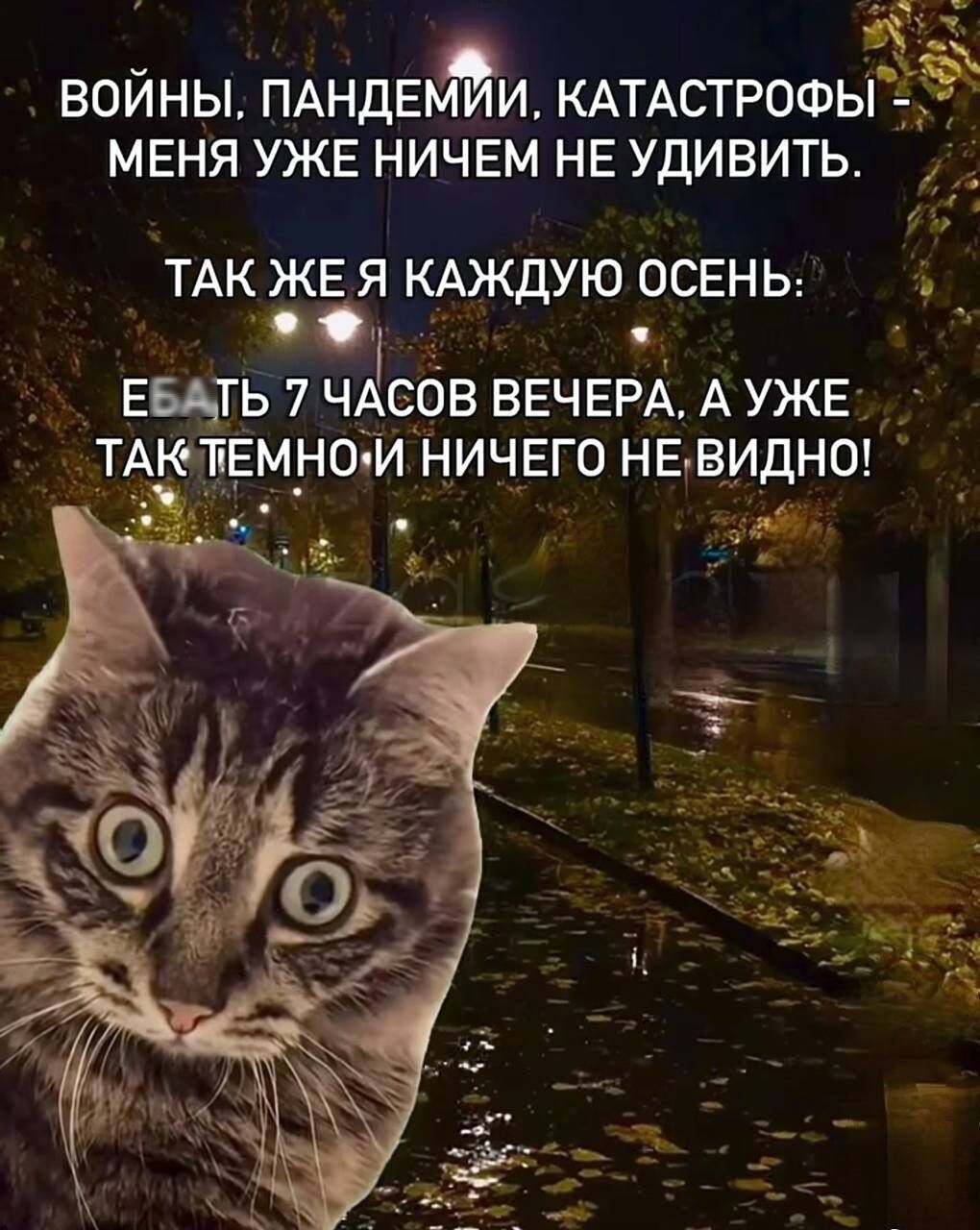 ВОЙНЫ, ПАНДЕМИИ, КАТАСТРОФЫ - МЕНЯ УЖЕ НИЧЕМ НЕ УДИВИТЬ.\nТАК ЖЕ Я КАЖДУЮ ОСЕНЬ:\nЕБАТЬ 7 ЧАСОВ ВЕЧЕРА, А УЖЕ ТАК ТЕМНО И НИЧЕГО НЕ ВИДНО!
