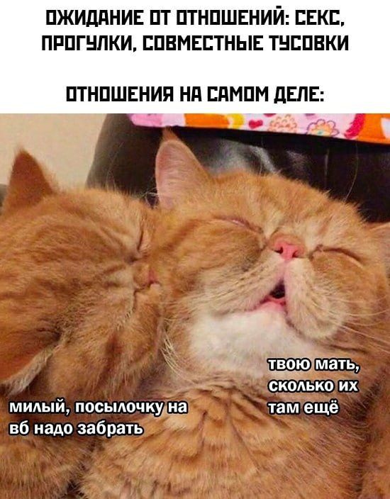ОЖИДАНИЕ ОТ ОТНОШЕНИЙ: СЕКС, ПРОГУЛКИ, СОВМЕСТНЫЕ ТУСОВКИ
ОТНОШЕНИИЯ НА САМОМ ДЕЛЕ:
Милый, посылочку на ВБ надо забрать
Твою мать, сколько их там ещё