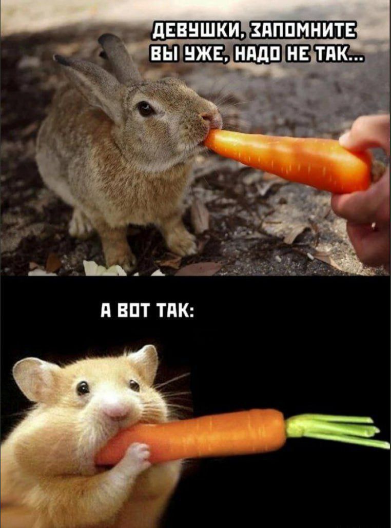 ДЕВУШКИ, ЗАПОМНИТЕ
ВЫ УЖЕ, НАДО НЕ ТАК...
A BOT TAK:
А ВОТ ТАК: