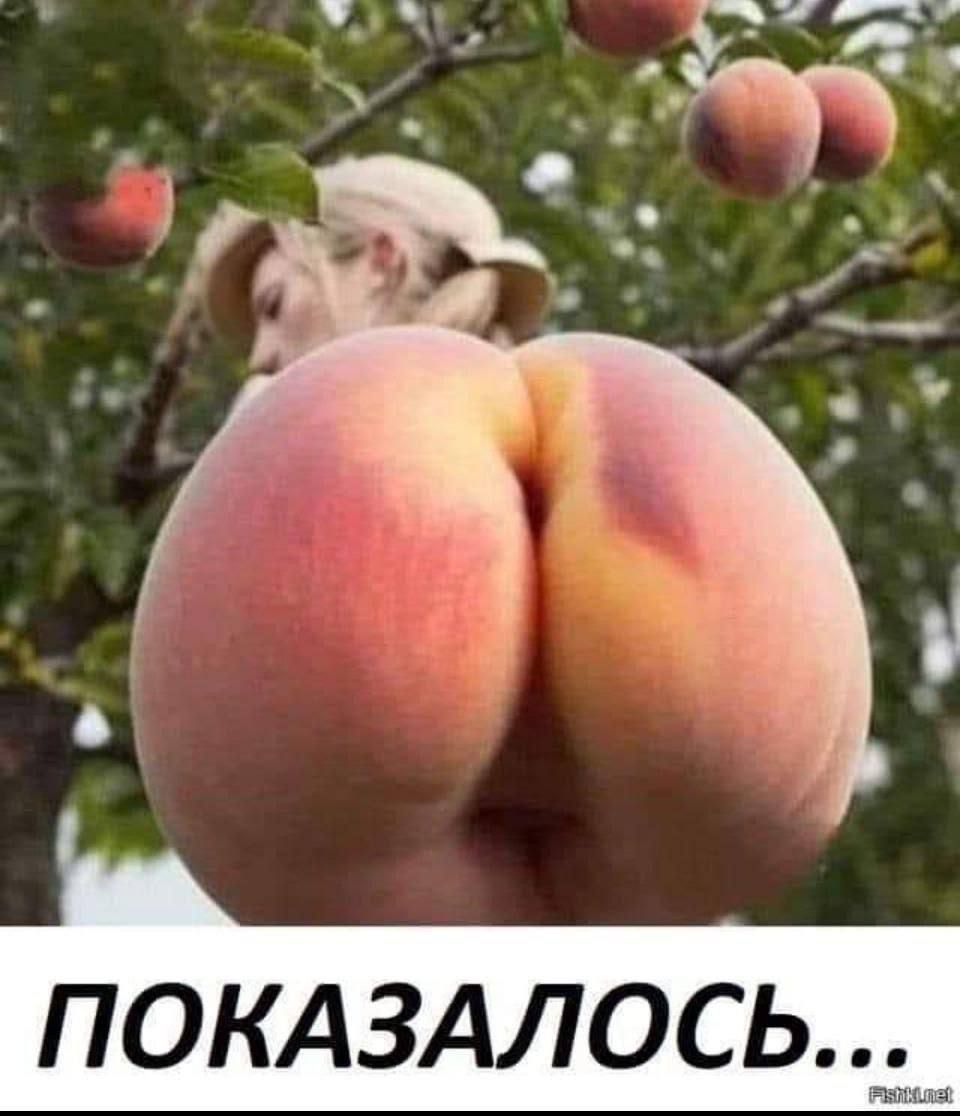 ПОКАЗАЛОСЬ...