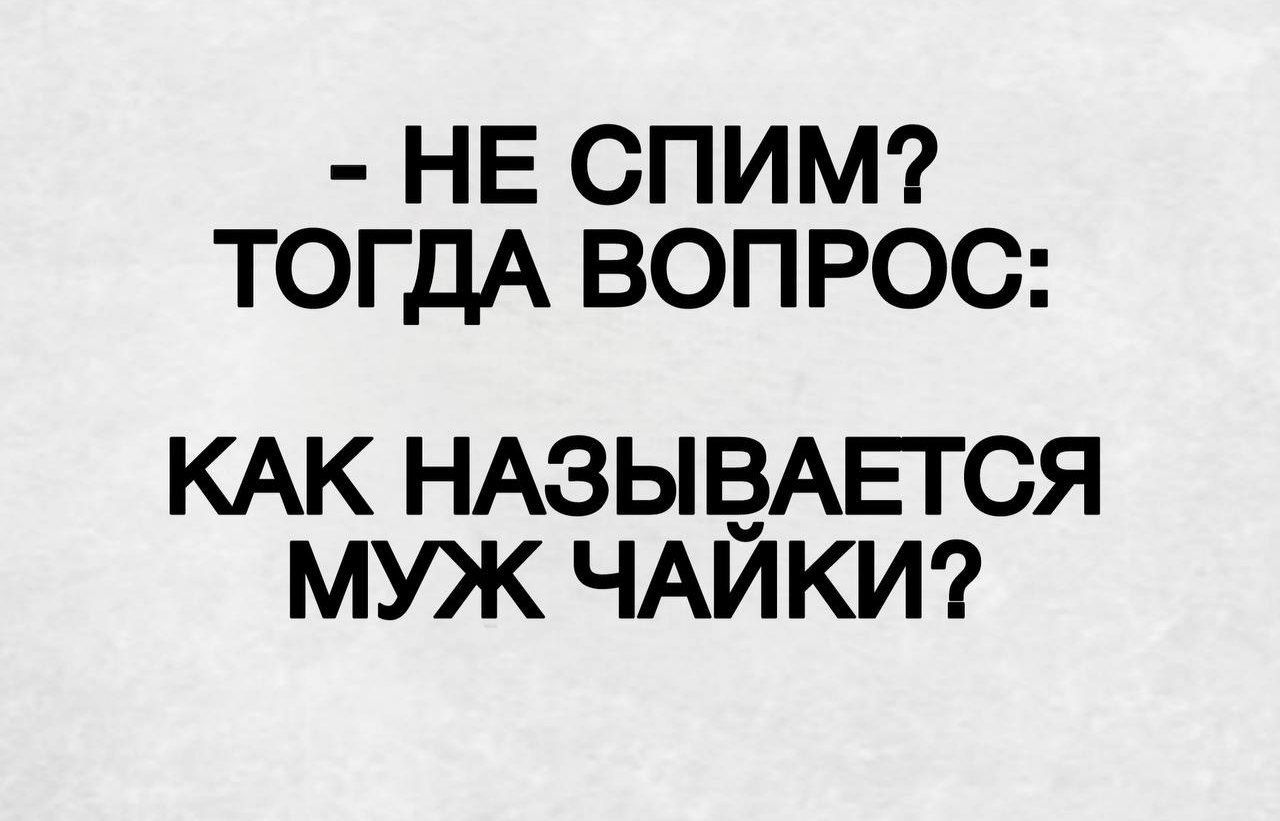 - не спим? тогда вопрос: как называется муж чайки?