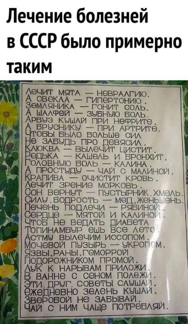 Лечение болезней в СССР было примерно таким
 Лечит мята — невралгию. А овес‑солъ — гипотонию. Земляничка — гоит соль. А лемафей — зубную боль. Клюква — вылечит цистит. Редька — кашель и бронхит. Головную боль — калина. Чай с малиной.