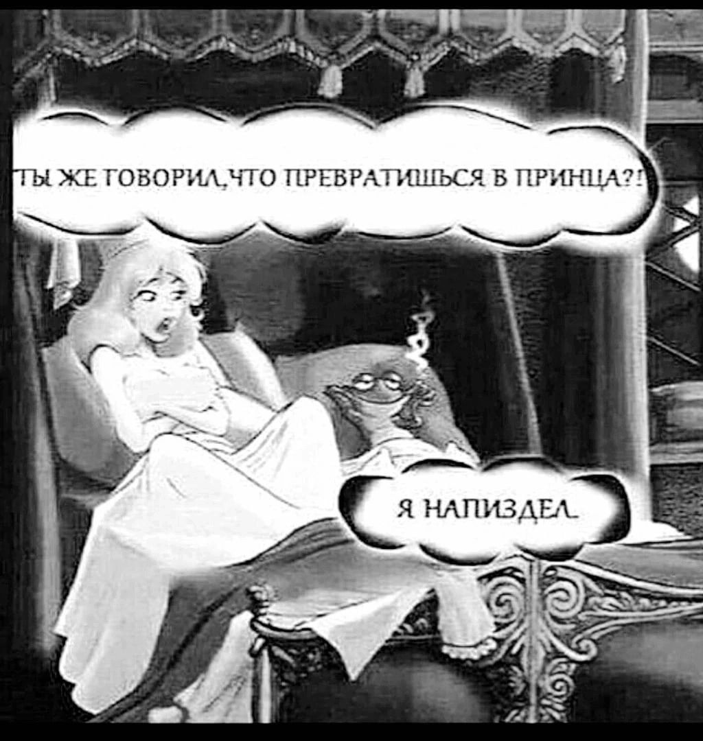ТЫ ЖЕ ГОВОРИЛ,ЧТО ПРЕВРАТИШЬСЯ В ПРИНЦА?! Я НАПИЗДЕЛ