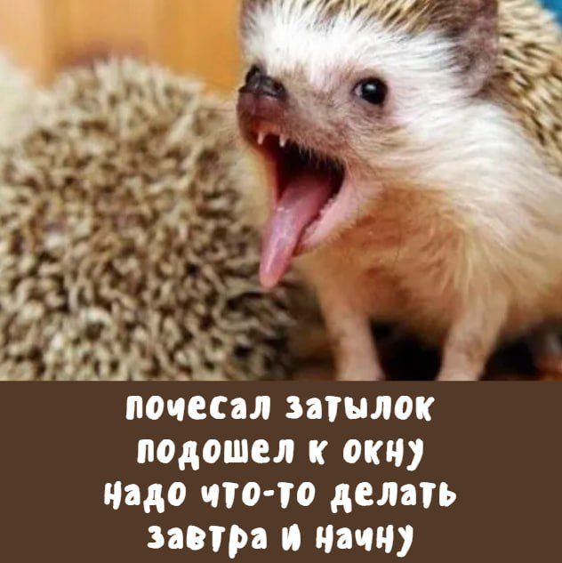 почесал затылок подошел к окну надо что-то делать завтра и начну