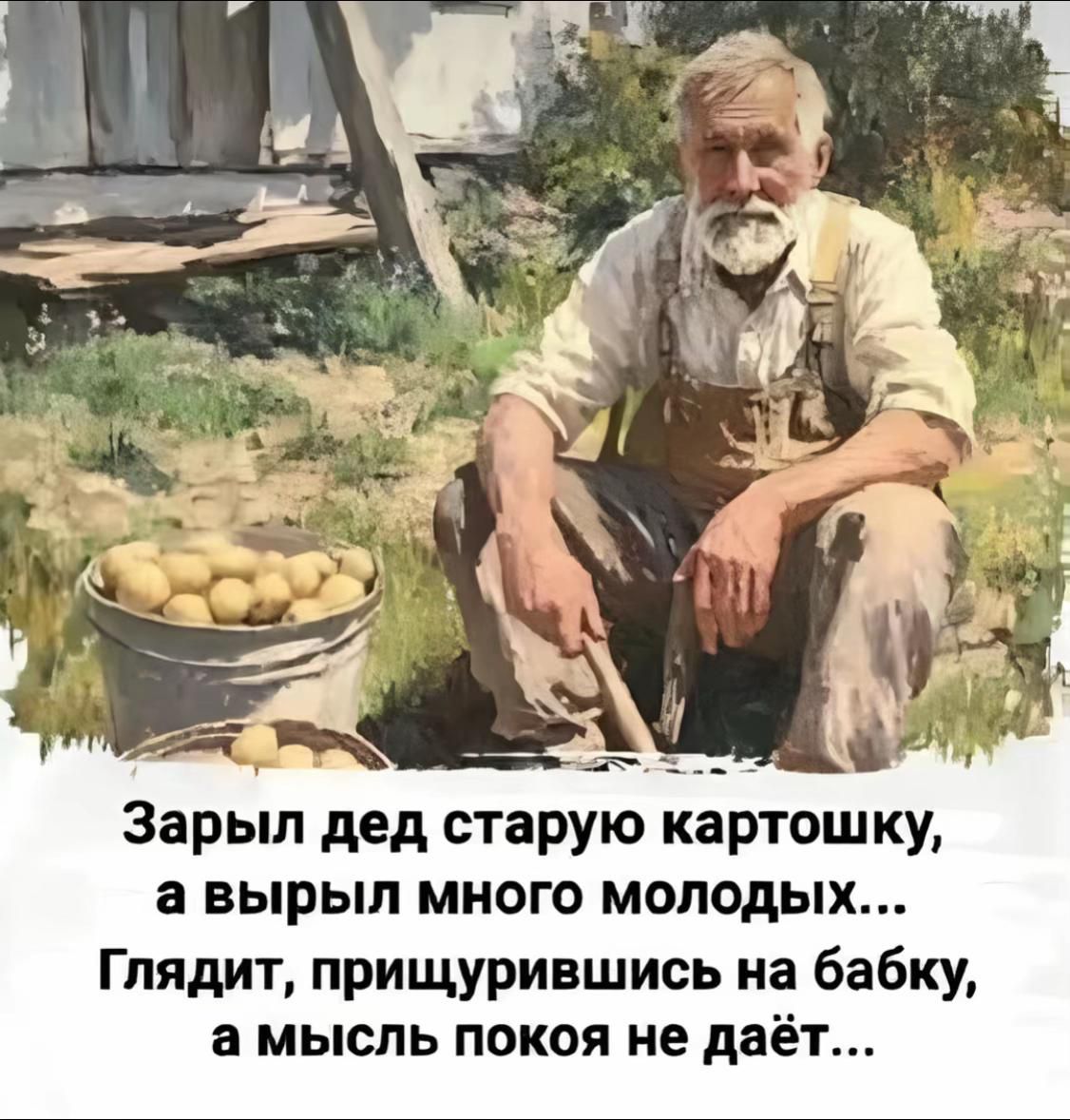 Зарыл дед старую картошку, а выкопал много молодых... Глядит,прищурившись на бабку, а мысль покоя не даёт...