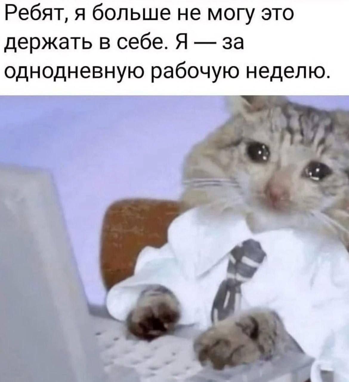 Ребята, я больше не могу это держать в себе. Я — за однодневную рабочую неделю.