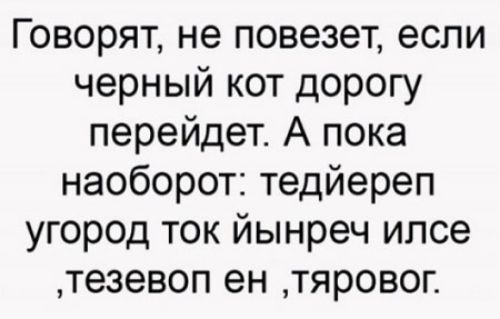 Говорят, не повезет, если черный кот дорогу перейдёт. А пока наоборот: ...