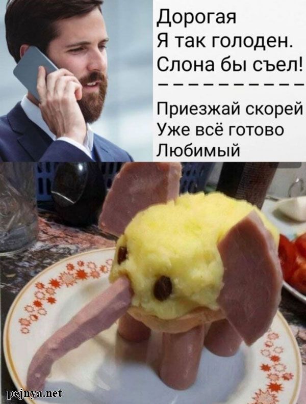 Дорогая Я так голоден. Слона бы съел! Приезжай скорей Уже всё готово Любимый