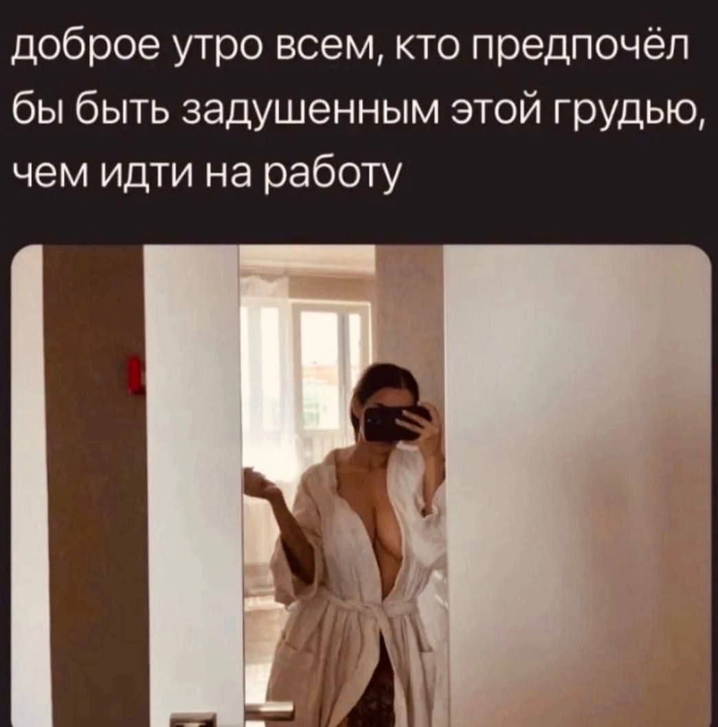 доброе утро всем, кто предпочёл бы быть задушенным этой грудью, чем идти на работу