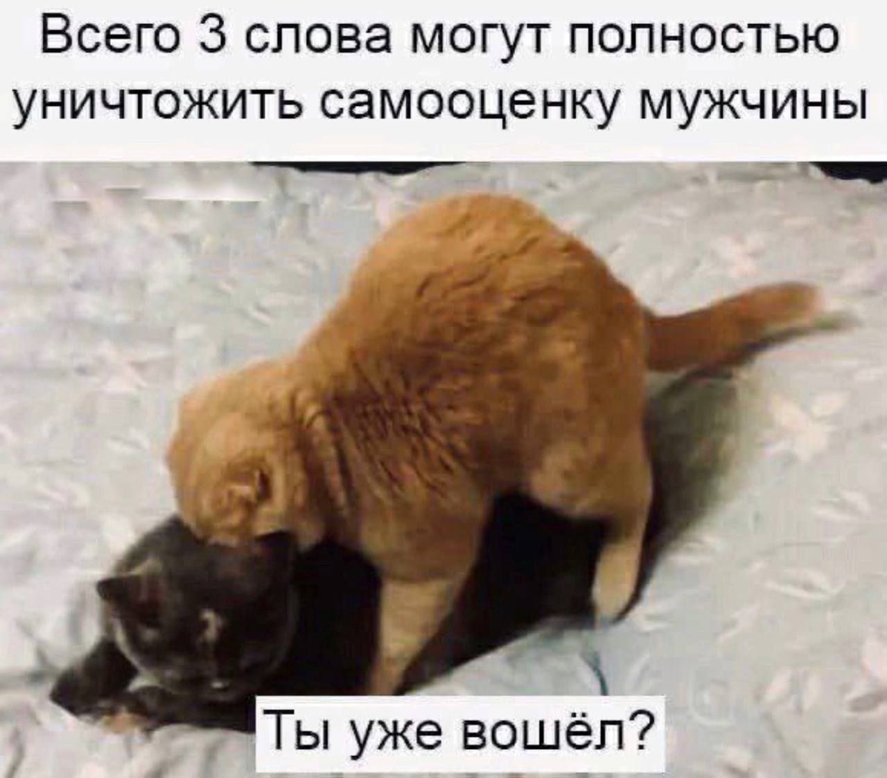 Всего 3 слова могут полностью уничтожить самооценку мужчины\nТы уже вышёл?