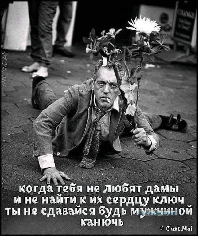 когда тебя не любят дамы и не найти к их сердцу ключ ты не сдавайся будь мужиной канючь